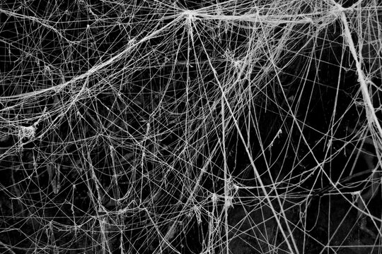 Man made cobweb