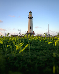 lighthouse on the coast