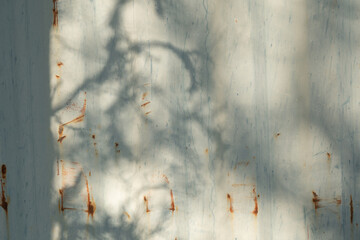 tree shadow on old faded wall