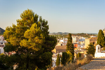 view to the old town from the hill surrounded by fields, trees and mountains