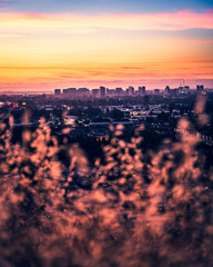 sunset over downtown san jose