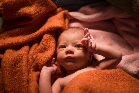 Cute newborn wrapped in orange blanket 