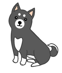 かわいい黒シバのイラスト