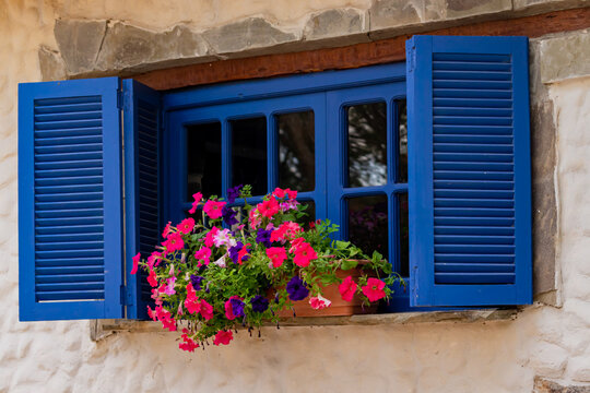 Flores en la ventana