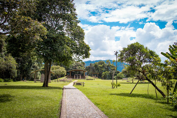 trees in the park, San Agustìn, Colombia