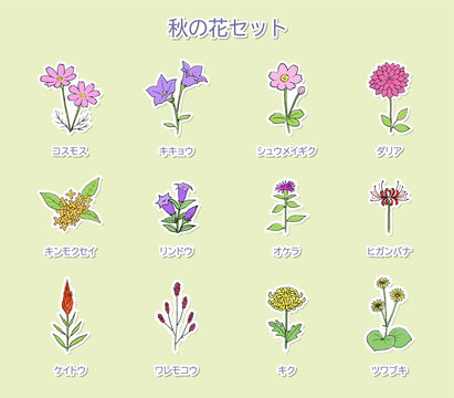 秋の花 Images Browse 10 557 Stock Photos Vectors And Video Adobe Stock