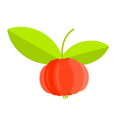 Flat design illustration of tropical cherry fruit isolated on white background.