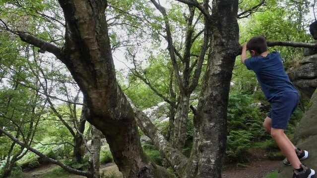 Young boy climbing and jumping on the rocks at Brimham Rocks, once known as Brimham Crags in North Yorkshire, surrounded by woodland in the UK.