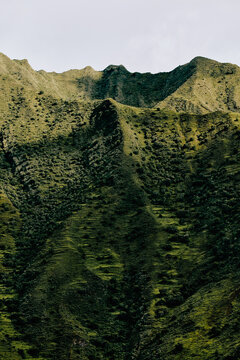 Steep Terraced Land on Green Mountain In Andes