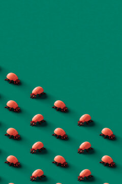 pink ladybugs on a green background