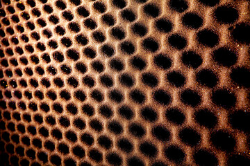 leopard skin texture orange background 