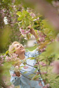 Portrait of middle aged woman in sakura park