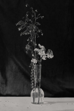 Black And White Floral Design Boquet Of Flowers
