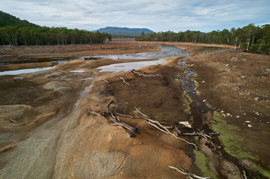 Deforestation, tree stumps, environmental damage, dry river reservoir