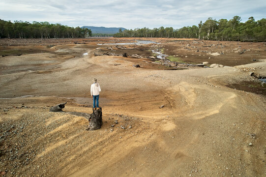 Manmade devastation - stumps, ecological damage, dry lake river bed
