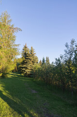 Gold Bar Park in the Evening