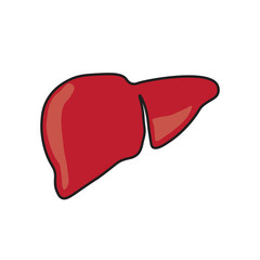 Liver icon vector illustration