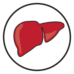 Liver icon vector illustration
