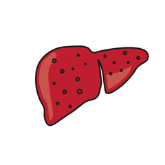 Liver icon vector illustration