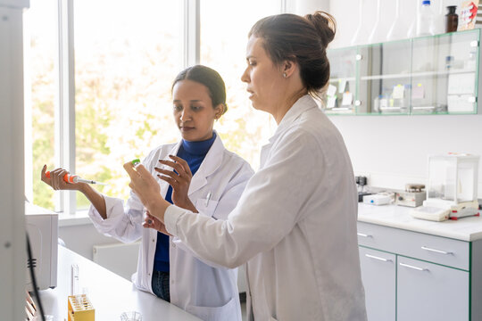 Two Scientists Working In Lab 