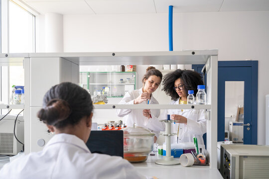 Female Researchers Working In Lab 