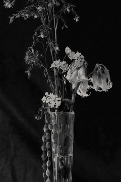 Black And White Floral Design Boquet Of Flowers