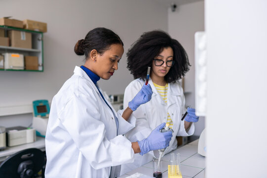 Women Working Together In Lab