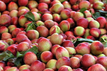 Peaches in a baskets