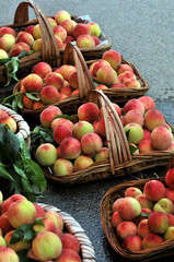 Peaches in a baskets