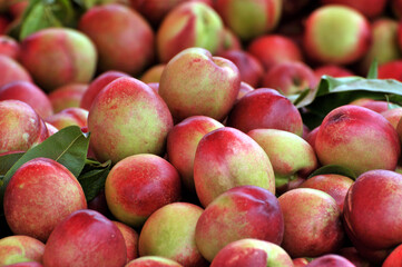 Peaches in a baskets