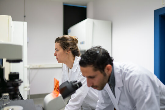 Close Up Of Busy Researchers In Lab