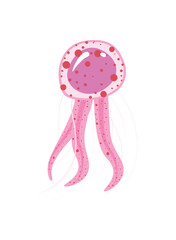 flat pink jellyfish