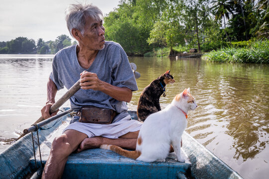 A fisherman rows a boat of cats down a river