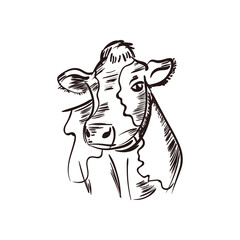 flat cow illustration