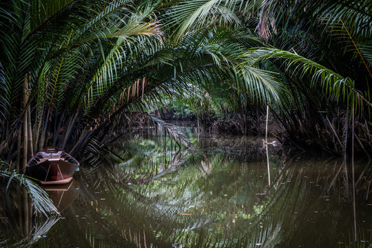 A boat parked in a shady mangrove in Thailand