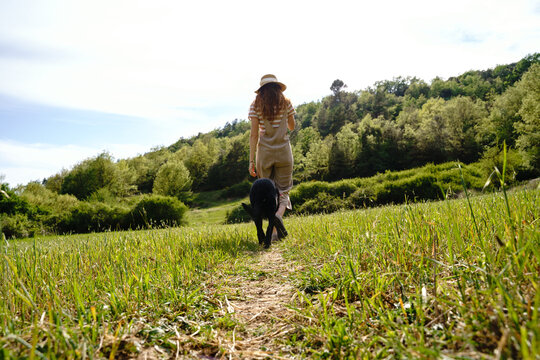  Young woman walking with dog in sunny field in nature