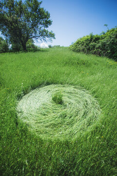 Crop circle 