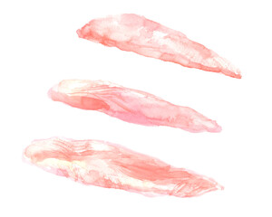 水彩で描いた鶏ささみのイラスト