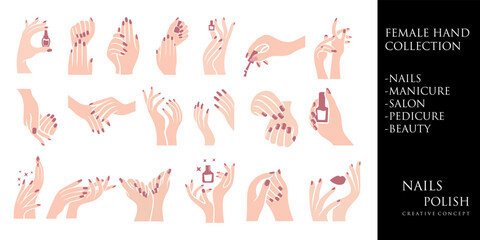 Female manicure icon set logo design template. Fingers and nails symbol.