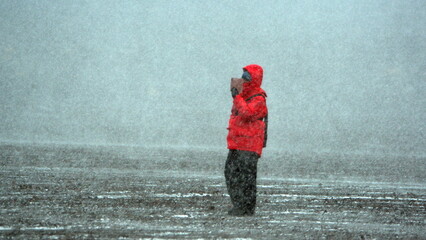 Expedition cruise ship passenger in a blizzard at Whaler's Bay, Deception Island, Antarctica - obrazy, fototapety, plakaty