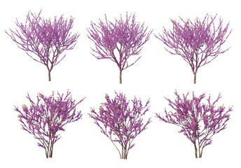 Obraz premium The tree has flowers on a white background.