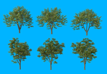 The tree has flowers on a blue background.