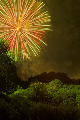 Large fireworks exploding over the tree tops in the night sky