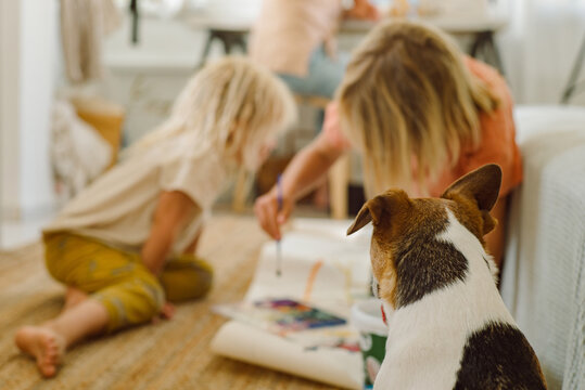 Domestic dog watches how children draw on paper