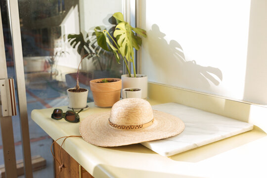 Hat and sunglasses and potted plants sit on counter