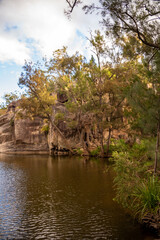 Australian natural bush, wilderness area in Queensland. 