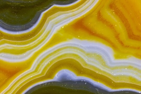 Brazilian Agate Macro  