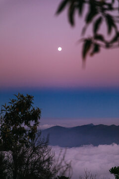 Natural Gradient 