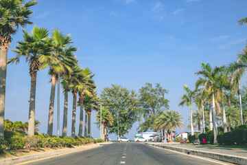Fototapeta premium Miami Beach close to chalatat beach at Songkhla park, Thailand. Beautiful classic landmark of Songkhla with coconut plam tree and road path.