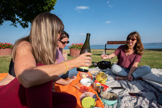 Friends Having Picnic